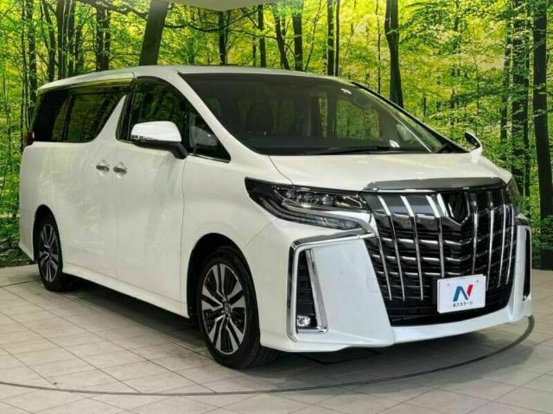 ALPHARD-16