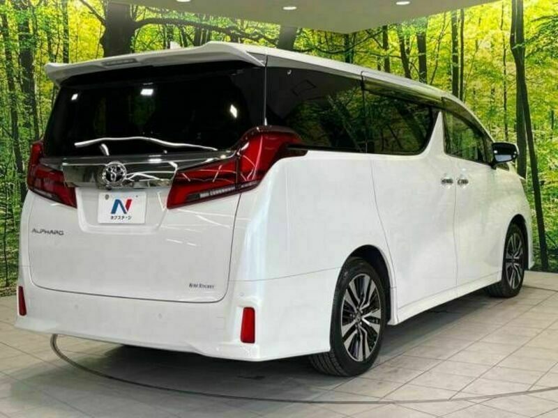 ALPHARD-17