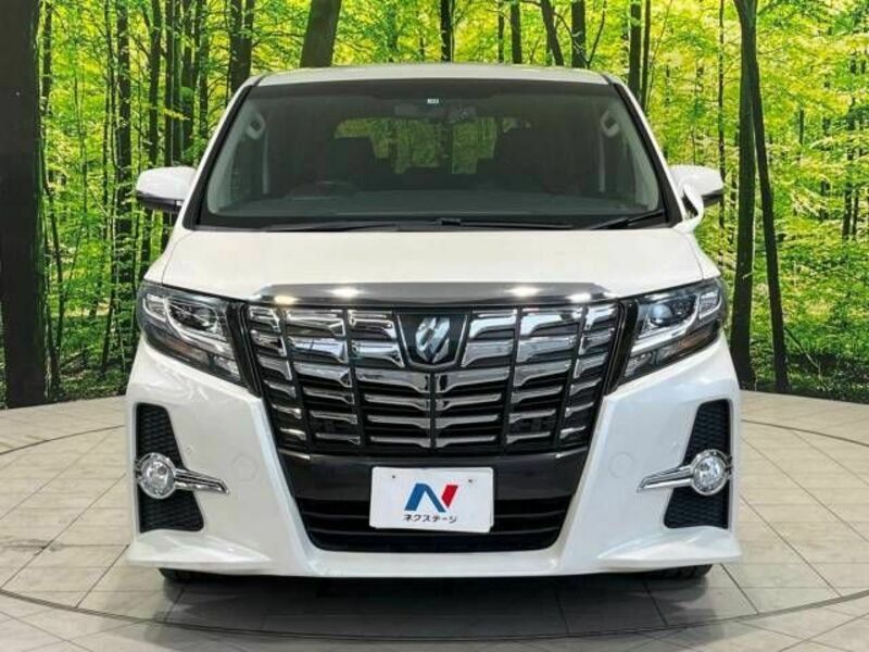 ALPHARD-14