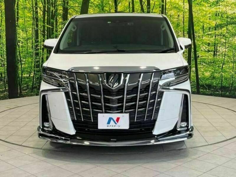 ALPHARD-16