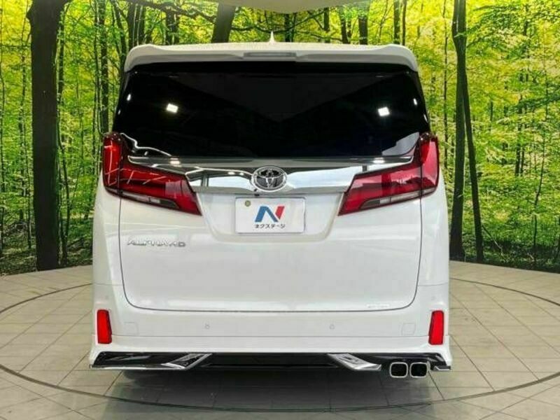 ALPHARD-17