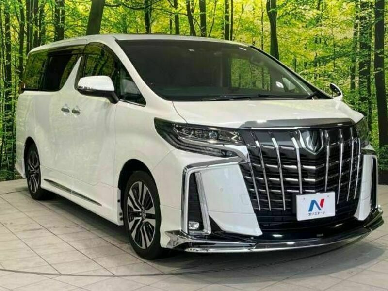 ALPHARD-18