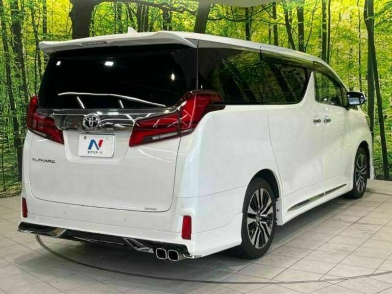 ALPHARD-19