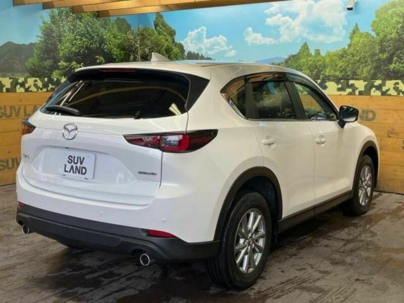 CX-5-18