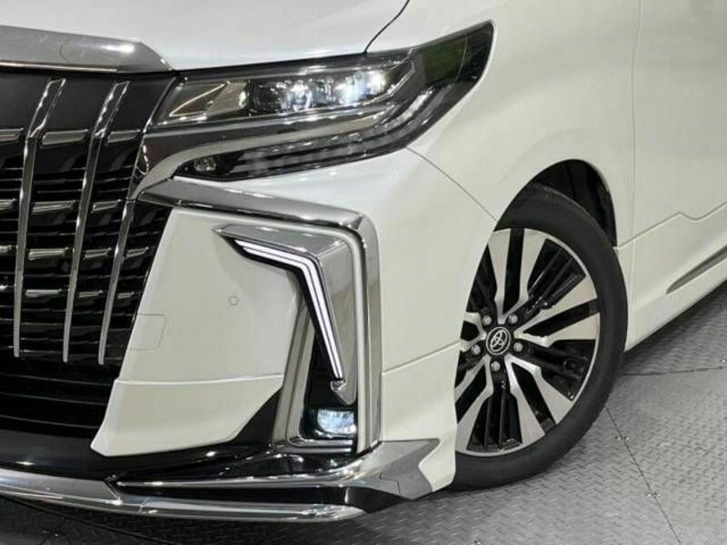 ALPHARD-13