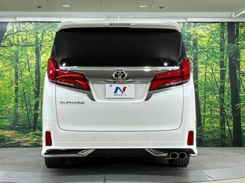 ALPHARD-16