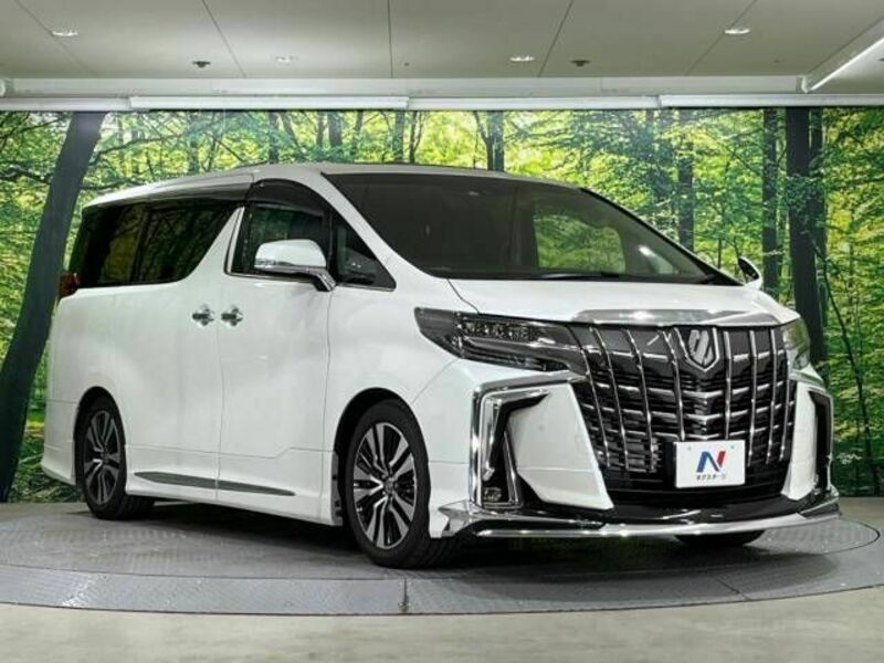 ALPHARD-17