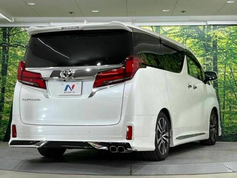 ALPHARD-18