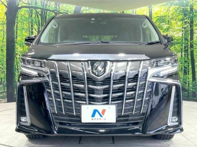 ALPHARD-15