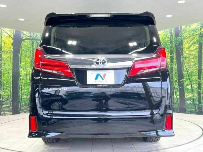 ALPHARD-16