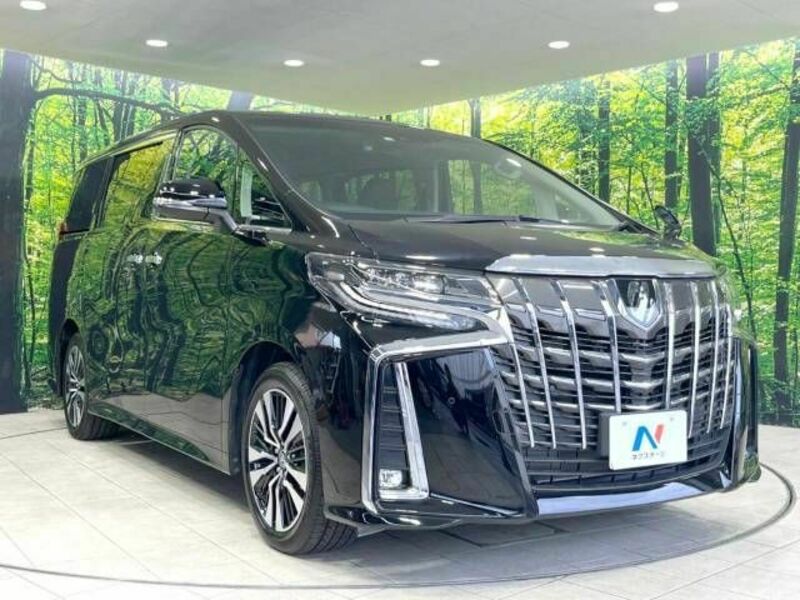 ALPHARD-17