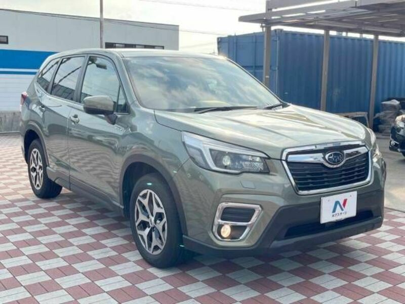 FORESTER-16