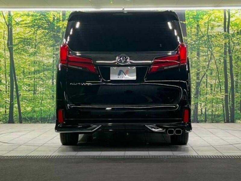 ALPHARD-15