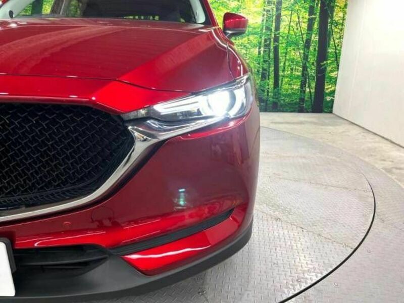 CX-5-12