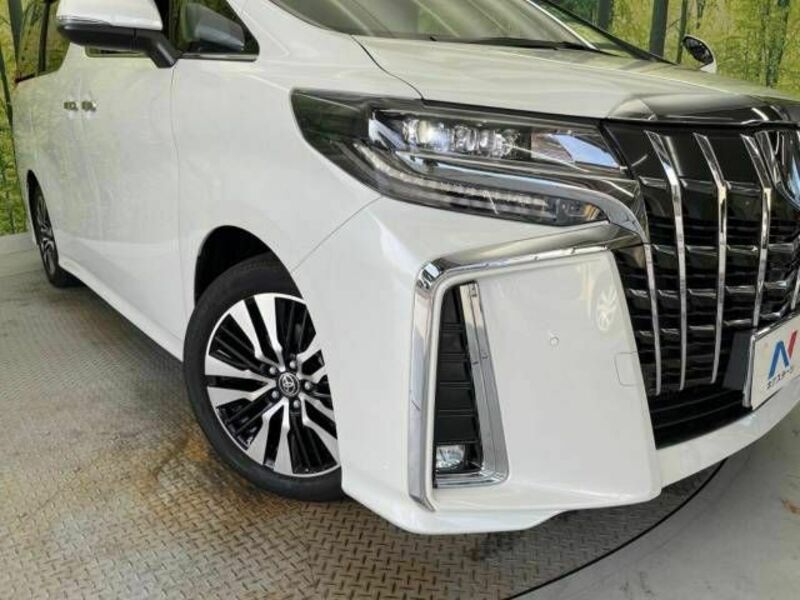 ALPHARD-13