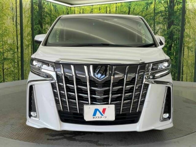 ALPHARD-15