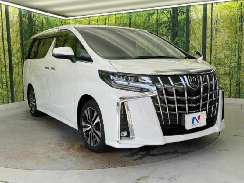 ALPHARD-17