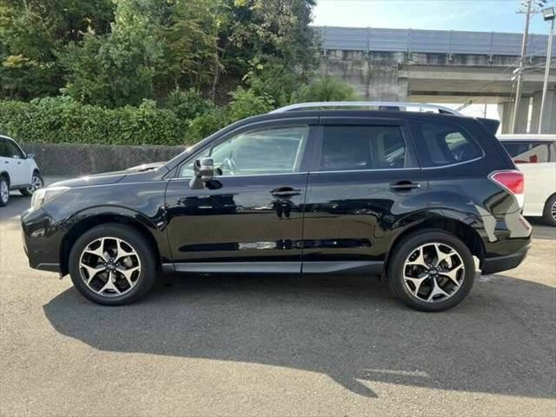 FORESTER-20