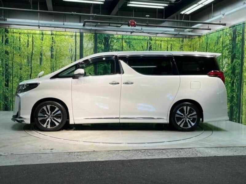 ALPHARD-19