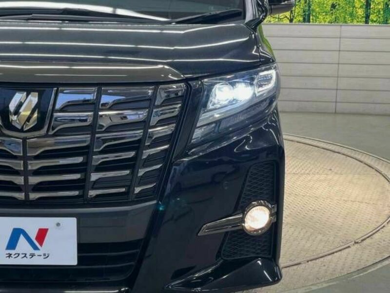 ALPHARD-13