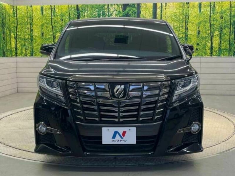 ALPHARD-14