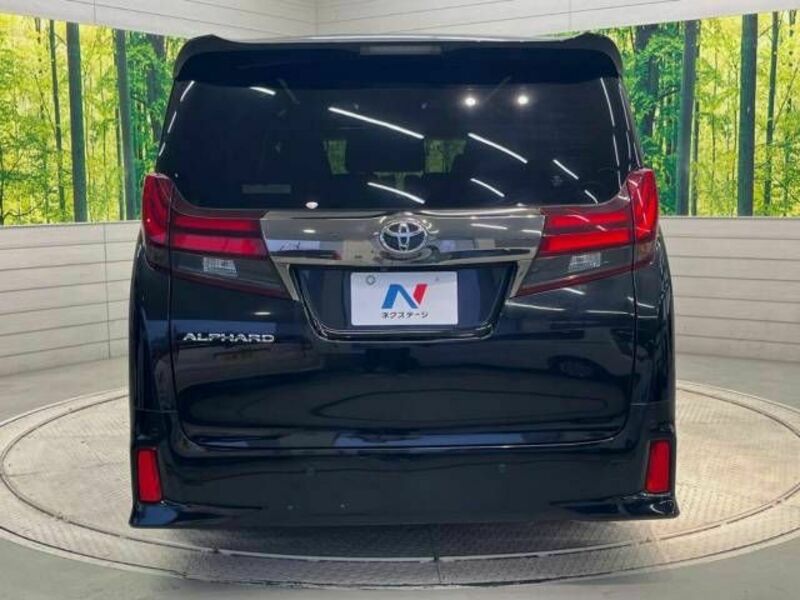 ALPHARD-15