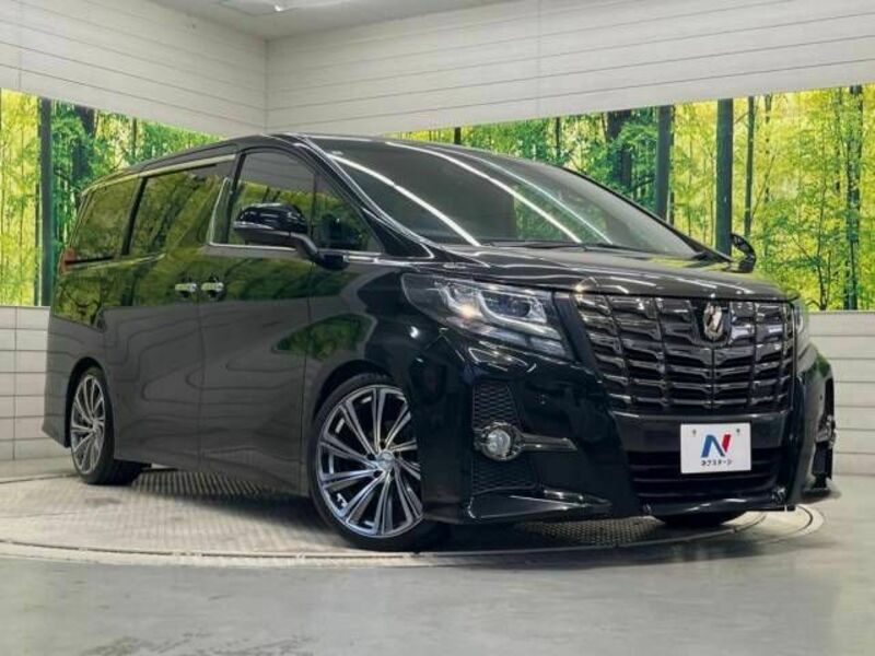 ALPHARD-16