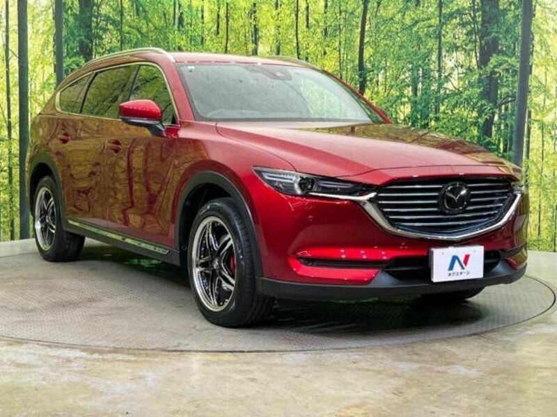 CX-8-16