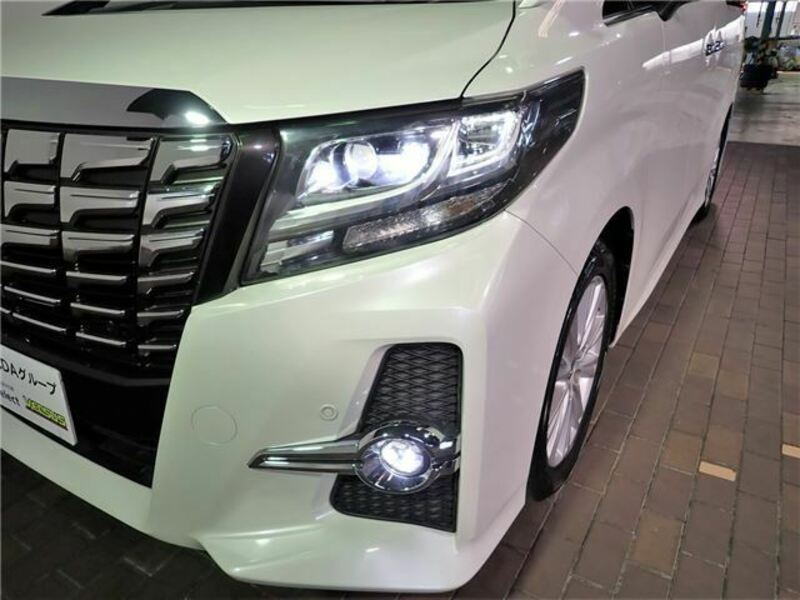 ALPHARD-6