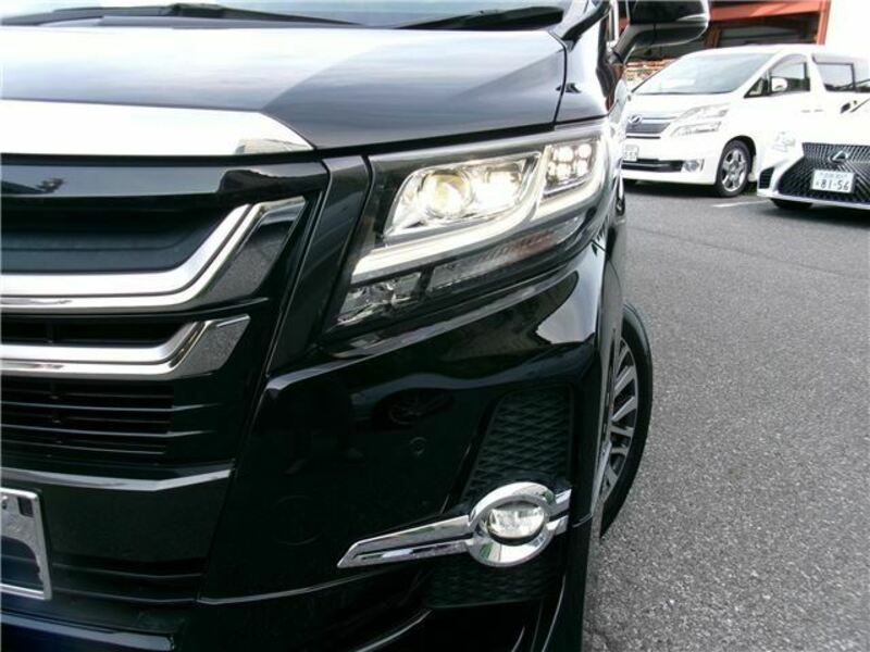 ALPHARD-8