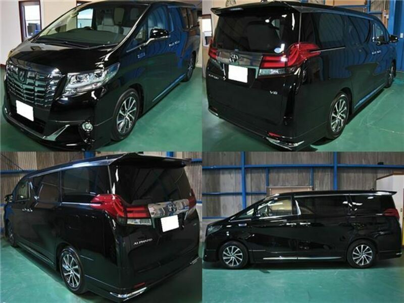 ALPHARD-1