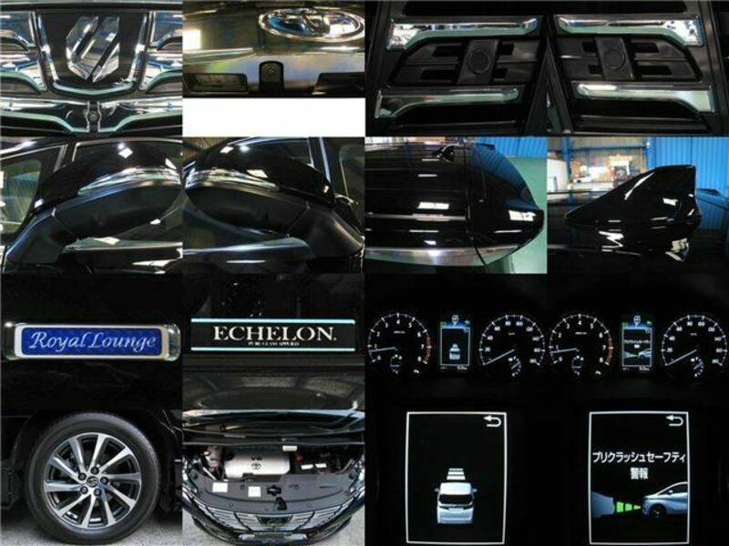 ALPHARD-3