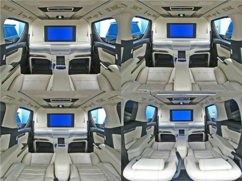 ALPHARD-28