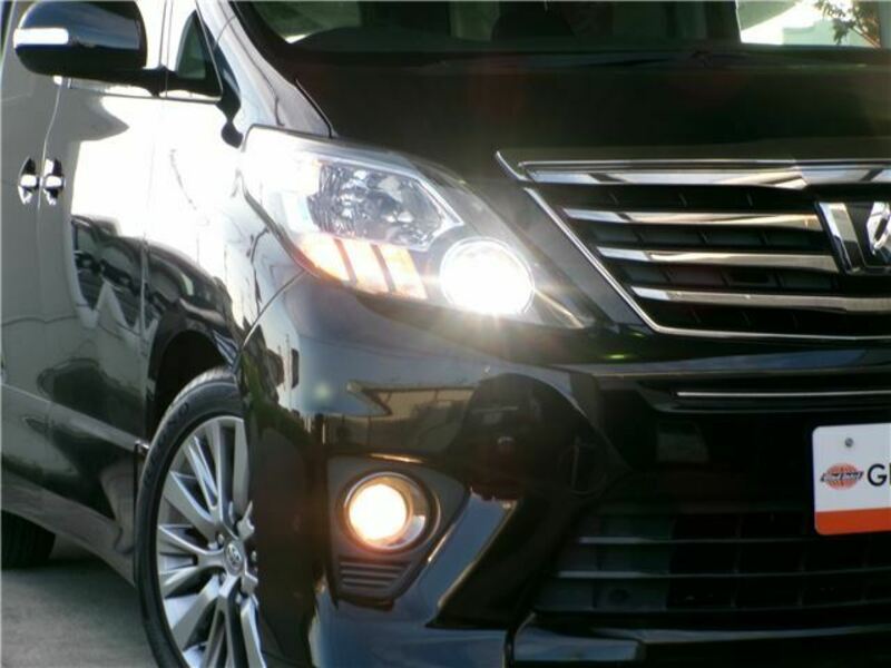 ALPHARD-7