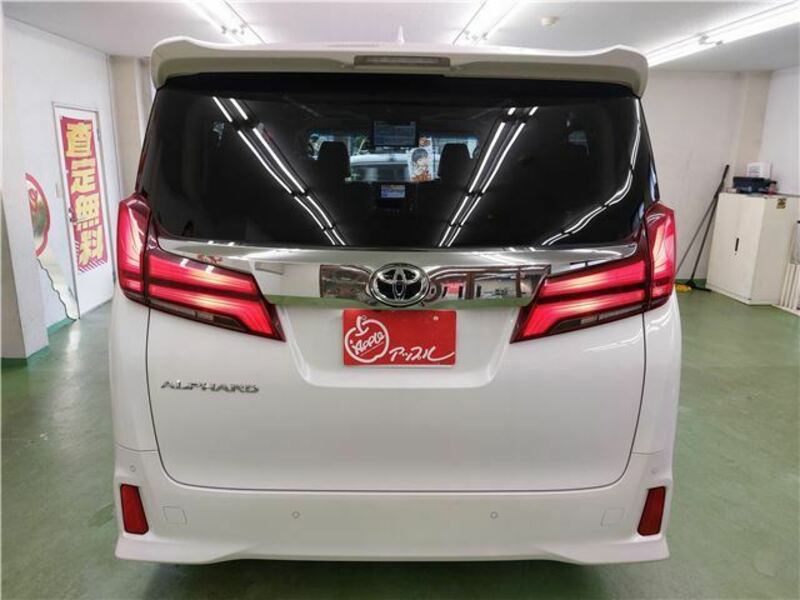 ALPHARD-10