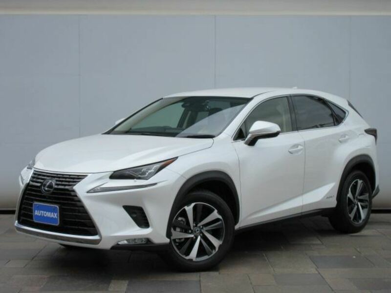 LEXUS　NX