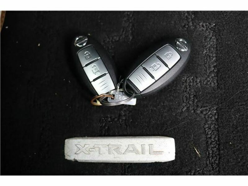 X-TRAIL-33