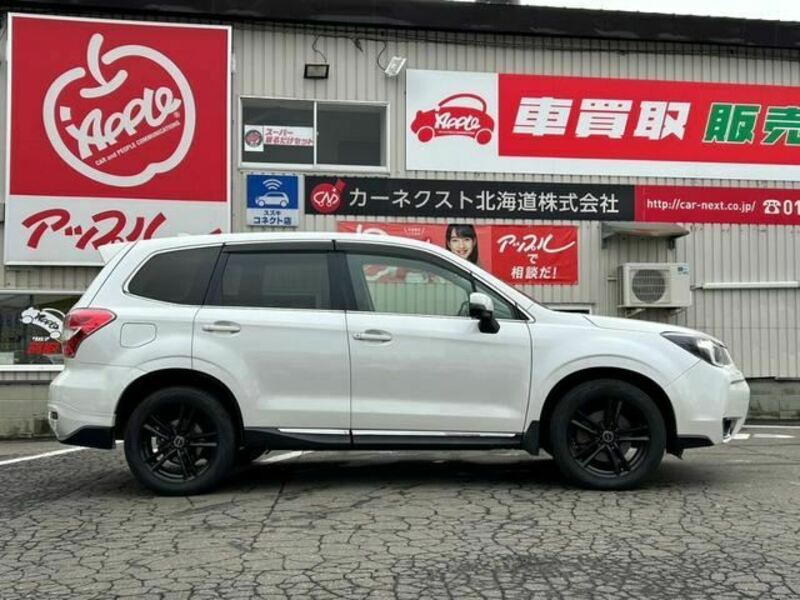 FORESTER-20