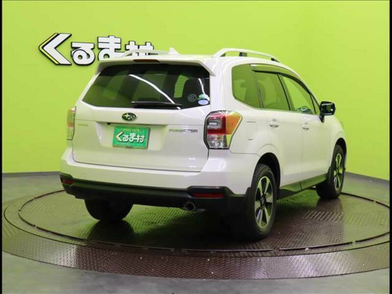 FORESTER-1