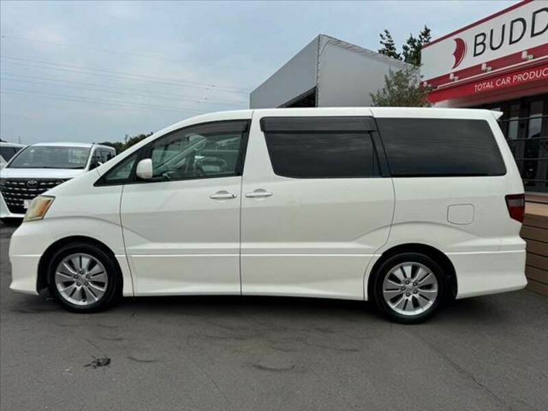 ALPHARD-10