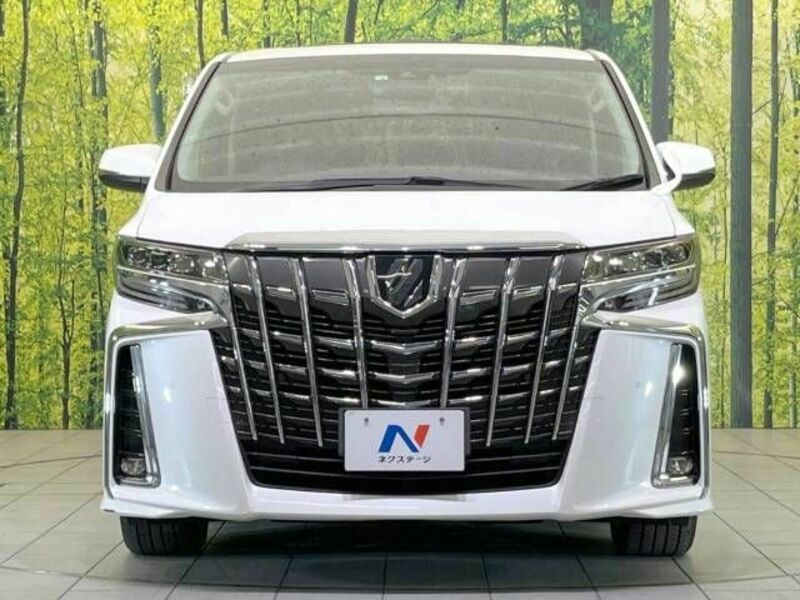 ALPHARD-16