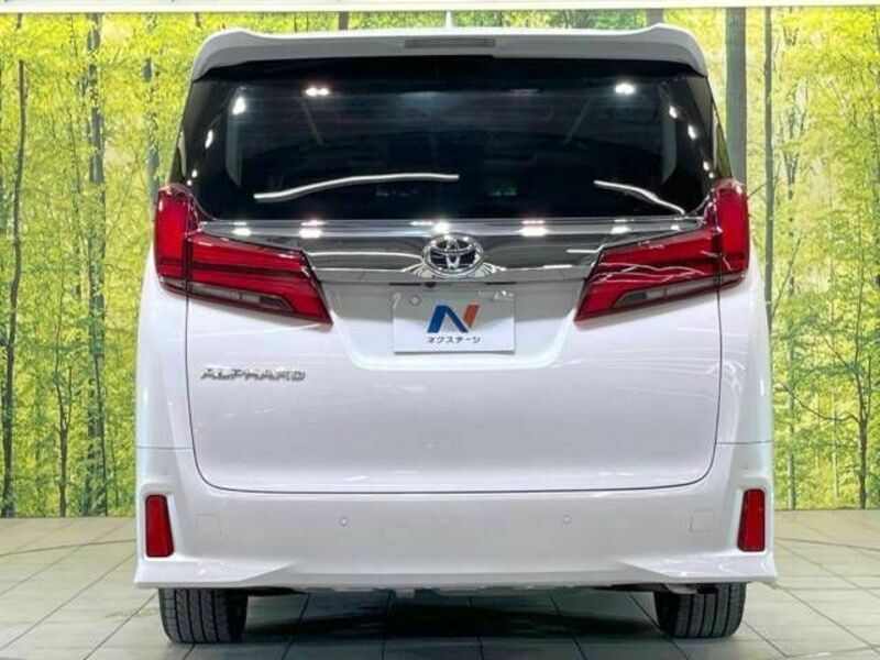 ALPHARD-17