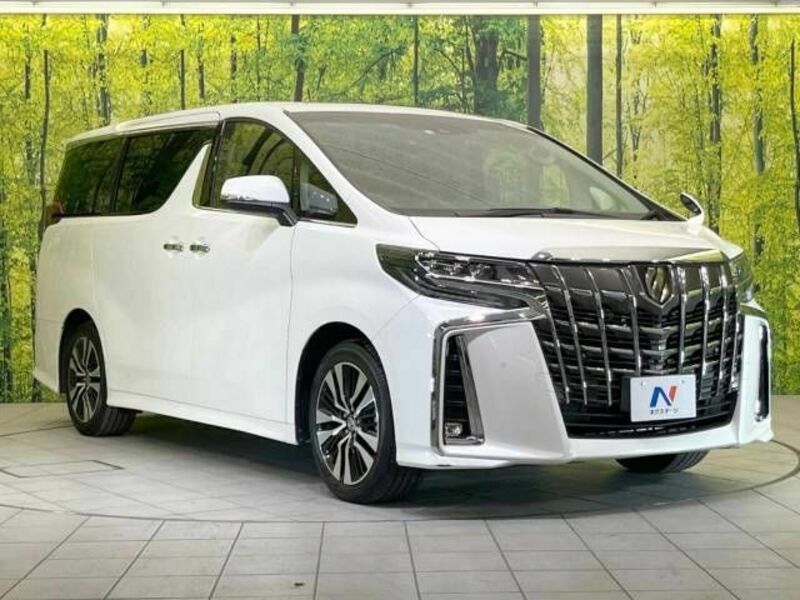 ALPHARD-18