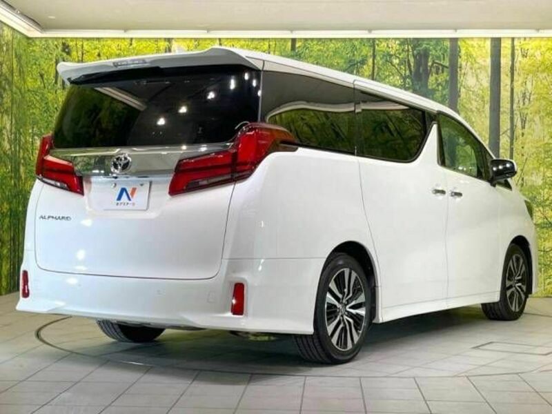 ALPHARD-19