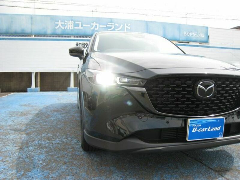 CX-5-11