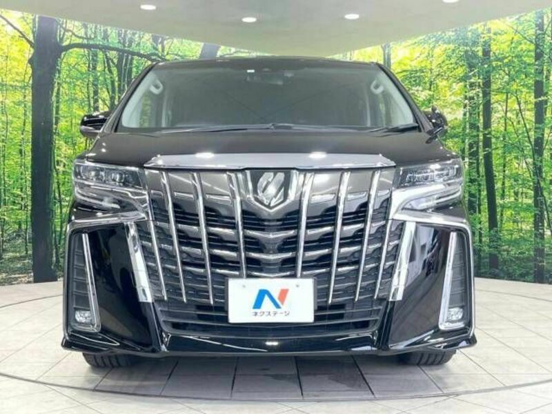 ALPHARD-15