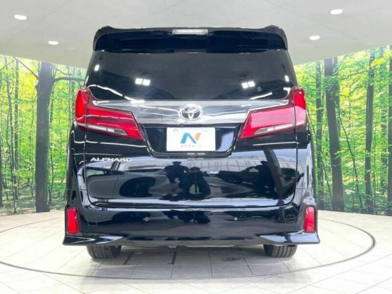 ALPHARD-16