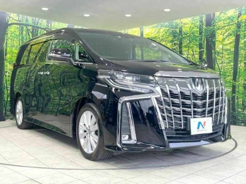 ALPHARD-17