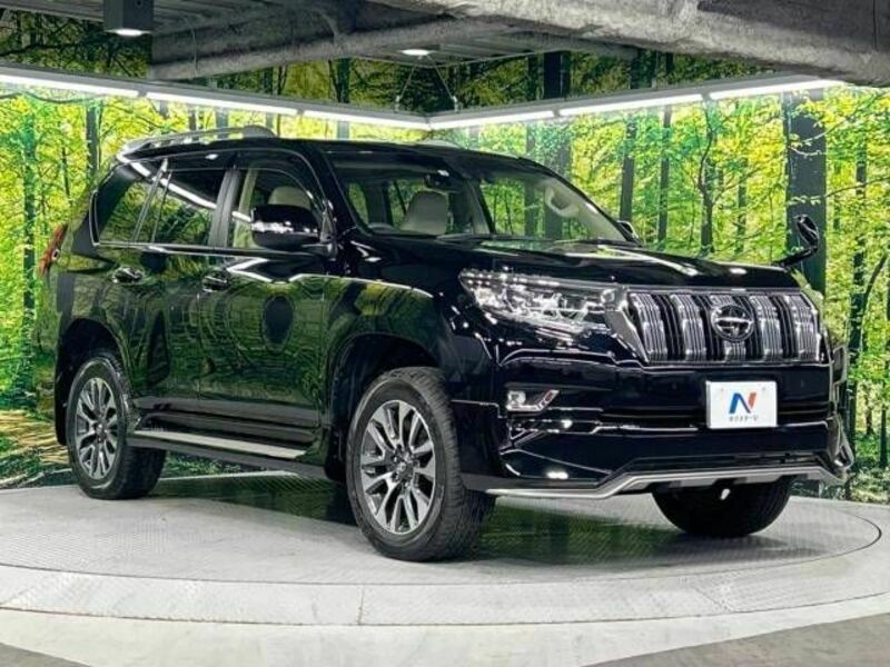 LAND CRUISER PRADO-17