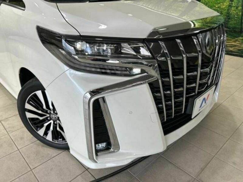 ALPHARD-12